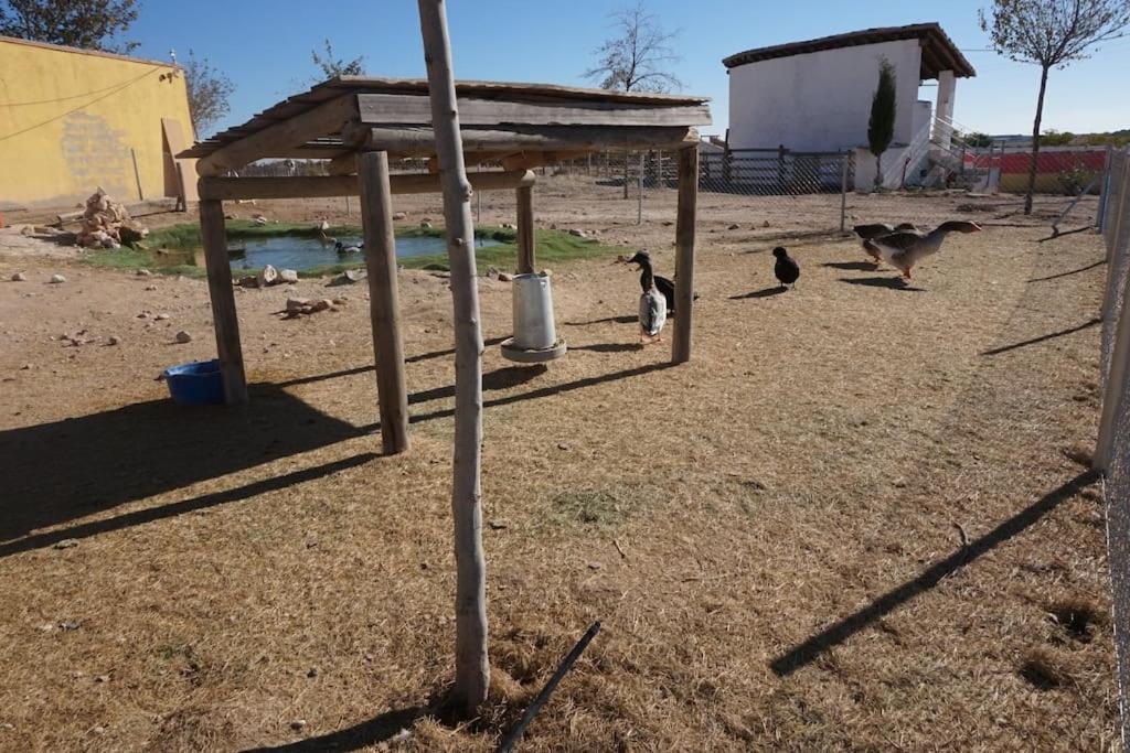 Finca La Caprichosa De Dancos Lillo Extérieur photo